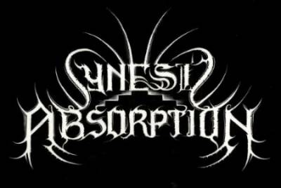 logo Synesis Absorption logo Synesis Absorption